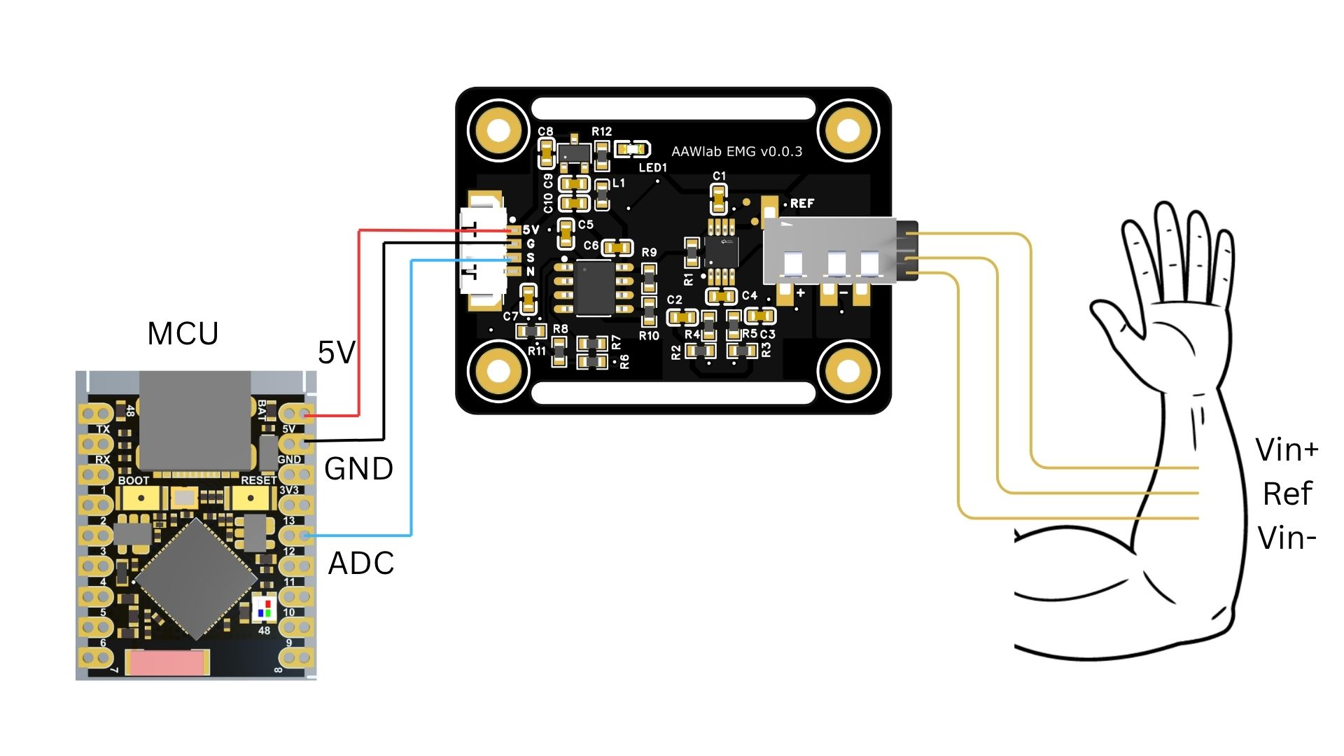 AAW sEMG 前端与 ESP32 ADS1015 接线图